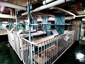 NAGOYA - Le Port - 21.01.2024 - 30